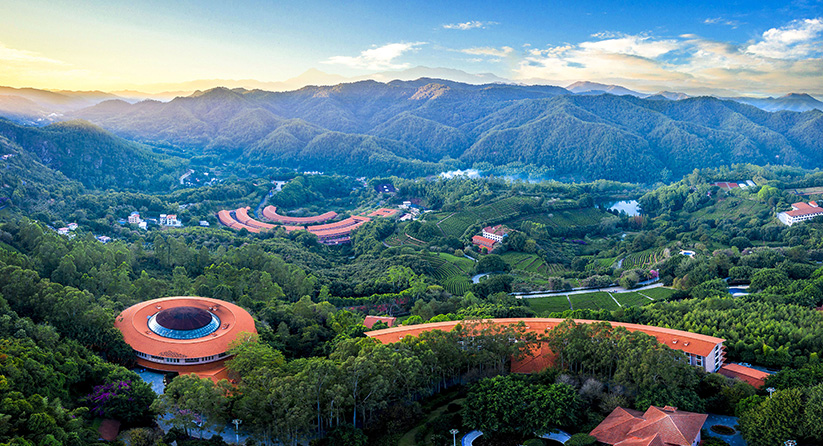 雁南飞茶田度假村